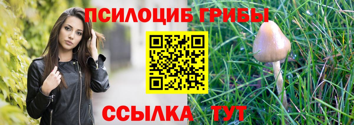 Галлюциногенные грибы Psilocybe  Вход с VPN  магазин продажи наркотиков  Конаково 